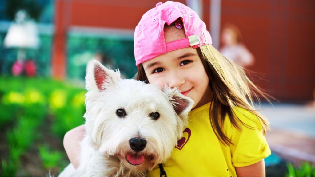 Imagem de criança brincando com West Highland White Terrier