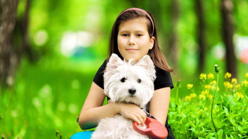 Criança brincando com um Westie em um parque ao ar livre.